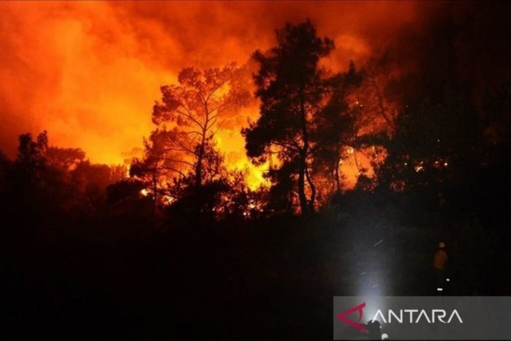 Polisi Korsel tangkap manusia pria diduga penyulut kebakaran hutan